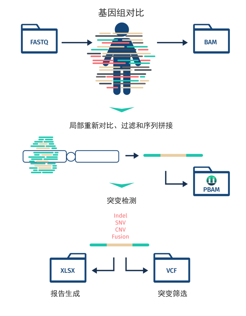 PiVAT bioinformatics workflow aligns FASTQ file to the human genome, performs alignments, filtering and de novo assembly for accurate variant calling